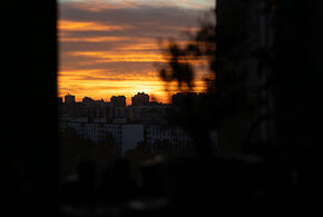 Мотивирующего женщин блогера арестовали за изнасилование, биткоин подорожал до 76 тысяч долларов: что произошло, пока вы спали