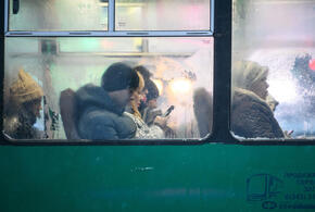 «Можно повеситься»: краснодарцы вышли с плакатами и требуют от властей нормальную дорогу