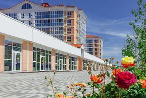 Двухкомнатные квартиры, развитая инфраструктура и ипотека — наиболее частые предпочтения россиян