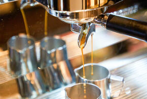 Опасная синегнойная палочка может быть в кофемашинах, предупредил эксперт