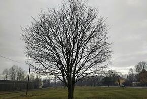 Осень, прощай: синоптики рассказали о погоде на Кубани 30 ноября