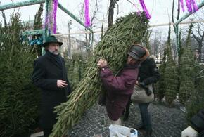 Открытие ёлочных базаров решено перенести