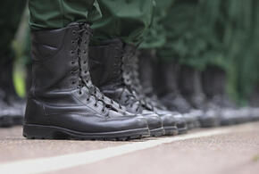 Отправят ли срочников из Краснодарского края в зону СВО, рассказали власти