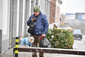 Первый снег выпал в Краснодарском крае, Чёрному морю в Новороссийске нанесён очередной ущерб: ТОП-10 за неделю