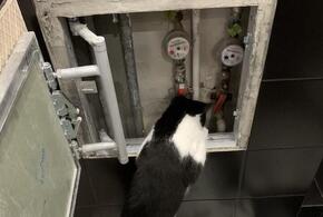 Почти 30 краснодарских улиц останутся без воды и света в четверг с самого утра