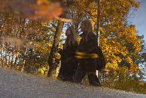 Погода на неделю с 11 по 17 ноября на Кубани