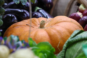 Полезна для зрения: кому можно и нельзя есть тыкву