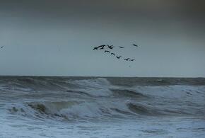 Режим «Повышенная готовность» введен в Новороссийске сроком на 4 суток из-за надвигающейся бури