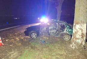 Смертельный удар в дерево: парень 2000 года рождения погиб в ДТП на Кубани