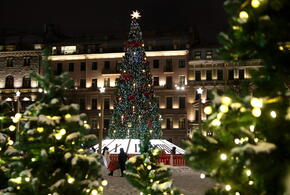 Снеговики, избушки и щелкунчики: как украсят главную ёлку Краснодара, рассказали в мэрии