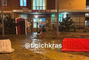 «Свинарня»: жители Фестивального микрорайона Краснодара жалуются на непроходимую дорогу