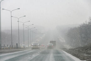 Туман и морось: о погоде на Кубани 29 ноября рассказали синоптики