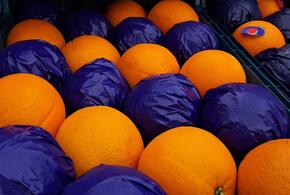 Турецкие апельсины с заразой привезли на Кубань, а теперь их продают