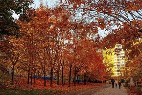 Усилится ветер, но тепло не уйдёт: синоптики рассказали, какая погода ждёт кубанцев в понедельник, 11 ноября