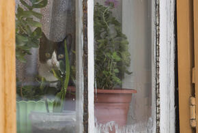 Утром туман и гололёд: о погоде на Кубани 18 ноября рассказали синоптики