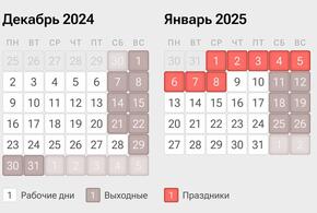 В Госдуме РФ объяснили, как россияне будут работать 28 декабря