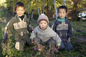 В Краснодаре не стали возбуждать уголовное дело по факту агрессивного поведения вьетнамских детей 