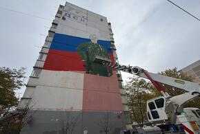 В Краснодаре увековечат память погибшего на СВО бойца в масштабном граффити