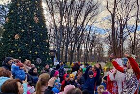 В мэрии Краснодара рассказали, как город будет встречать Новый год