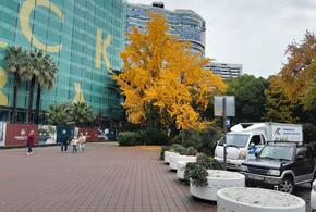  Ветрено, но все еще тепло: синоптики рассказали о погоде на Кубани 23 ноября