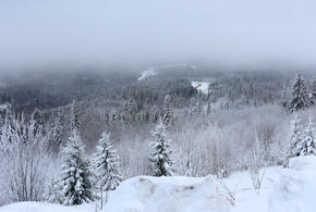 Высота сугробов достигла 60 см в горах Сочи