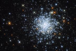 Близнецы сегодня будут очень продуктивны, а Ракам следует сосредоточиться на личностном росте