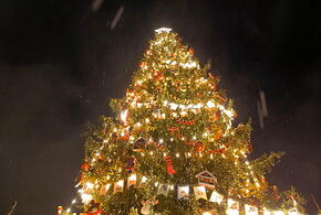 Будет ли снег на Новый год в Краснодаре, рассказали синоптики