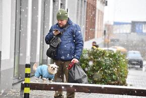 Будет ли суббота, 28 декабря, сокращённым днём, ответили власти