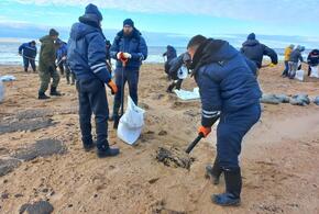 Эксперты полностью разошлись в прогнозах о будущем туристическом сезоне в Анапе