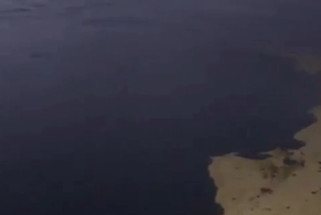 «Это экологическая катастрофа»: что будет с курортным сезоном в Анапе после разлива нефти