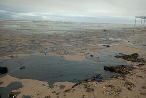 «Это, конечно, кошмар»: огромные пятна мазута обнаружены уже и на центральных пляжах Анапы