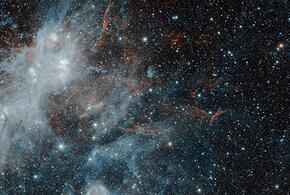 Гороскоп на неделю с 23 по 29 декабря от «Живой Кубани»