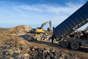 Как утилизируют мазут, собранный на побережье Черного моря, рассказал специалист