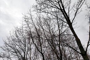 Какой будет погода на Кубани в понедельник, 2 декабря, рассказали синоптики