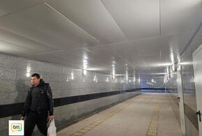 Крутые пандусы и маленькие лифты: жители Краснодара оценивают новый подземный переход на Красных Партизан 