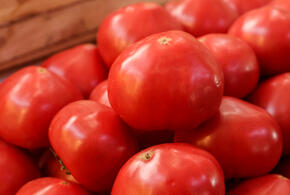 Неожиданное свойство томатного сока назвали учёные