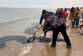 Новый выброс мазута зафиксирован возле пляжа «Динамо» в Анапе