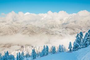 «Плачу 1000 за аренду лопаты» : жители Красной Поляны под Сочи пытаются расчистить улицы от метрового слоя снега