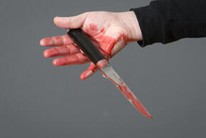 Преступник, зарезавший полицейского и его 19-летнюю жену в Белореченске, найден мёртвым 