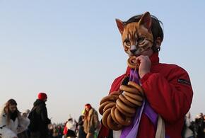 Проблемы в семье могут превратить ребенка в квадробера, считают в прокуратуре Краснодарского края