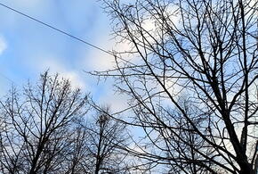 Резкое потепление до 16 градусов ожидается в Краснодарском крае