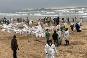 Роспотребнадзор признал, что качество морской воды у берегов Краснодарского края не соответствует нормам