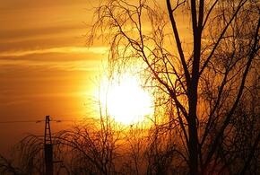 Солнце никак не успокоится: на звезде произошло сразу несколько мощных взрывов