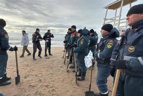 Спасатели и волонтёры чистят кубанские пляжи от мазута после крушения танкеров в Керченском проливе