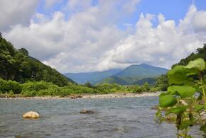 Стало известно, какие земли пополнят территорию нацпарка в Сочи