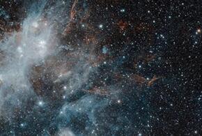 Тельцов ждут неожиданные встречи, а Ракам следует быть внимательными к эмоциям