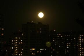 В Краснодаре деревья атаковали клопы, в администрации сообщили, что уничтожать насекомых не планируют, подростка, порезавшего школьников в Краснодаре, выдворят в Армению вместе с родителями: ТОП-5 за 24 декабря    