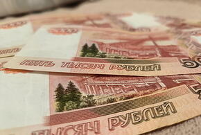 В Усть-Лабинском районе директора школы уличили в мошенничестве