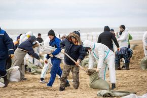 Свою помощь уже предложили 1300 добровольцев 