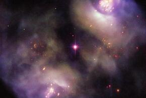 Весы смогут победить старых врагов, Стрельцов ожидает профессиональный успех